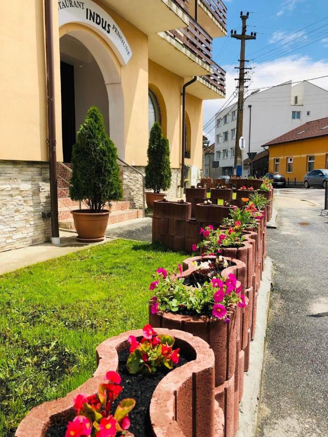 Pensiune Restaurant Indus Ocna Sibiului Exterior photo
